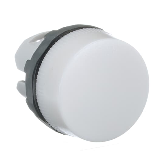 ML1-100W ABB Pilot Lights