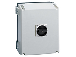 UL/CSA type 4/4X non-metallic enclosured switch disconnector, three-pole. With rotating black handle, 100A. Enclosure dimensions: 220x280x170mm/8.7x11x6.7'', PE+N