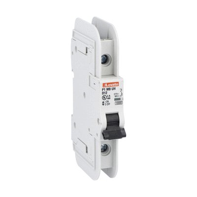 Miniature circuit breaker, 1P - 10kA. 1 module, characteristic D, 1A