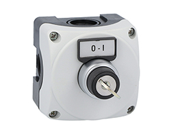 Grey control station LPZP1A8 complete with key selector LPCS320 1NO+1NC and label holder with label "O-I"