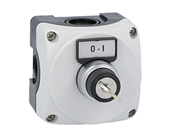 Grey control station LPZP1A8 complete with key selector LPCS320 1NO and label holder with label "O-I"