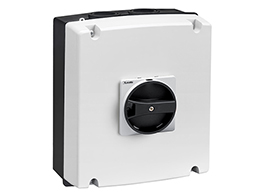 IEC/EN type IP65 non-metallic enclosure switch disconnector, four-pole. With rotating black handle, 100A. Enclosure dimensions: 175x210x99mm/6.9x8.3x3.9'', PE+N