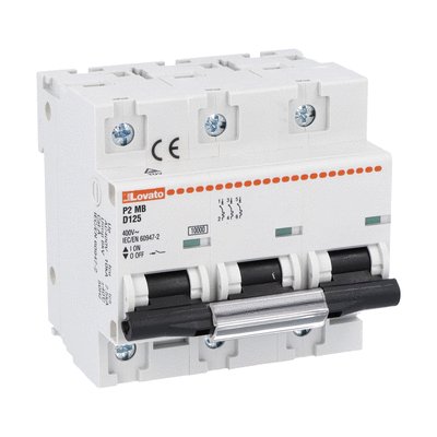 Miniature circuit breaker, 1P, 2P, 3P and 4P - 10kA, characteristic D, 125A